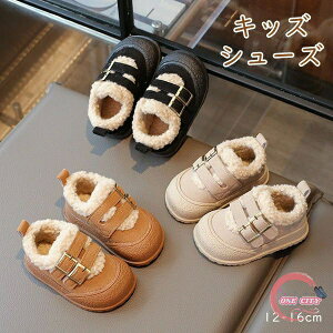 xr[C 3FI H~ h g V[Y LbY xr[ xr[u[c u[c [EFA C Ԃ qp u[c    ~ y v[g  x