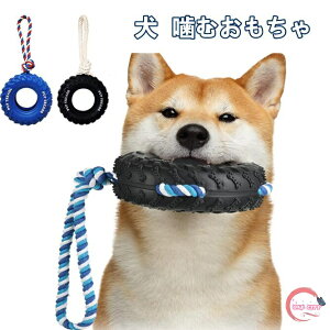   ނ ^C` ybg [v  S ϋv ɂ   L\h XgX ^s΍ ^ ^ ^ ɓKp