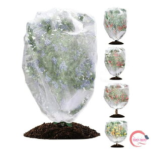 Wbp[t hlbg Aی t@Xi[t ؍͔| |plbg  Ap hlbg AیJo[ x_ DIY ʎ ݂ ƒ؉ _ ؉v^[p O |