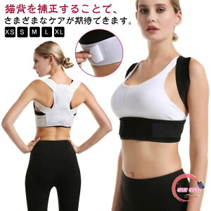 Lw pT|[^[ Lwxg fB[X Lwxg pxg ˂w w؋xg  y j p xgP ObY ␳ T|[^[ LwT|[^[ 