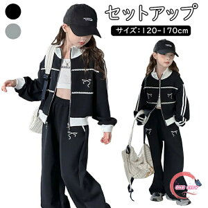 ZbgAbv 2_Zbg ̎q q K[Y H ^ W[WZbg Chpc { oGRA fB[X  tH~ LbY ㉺Zbg g[jOEFA X|[cEF