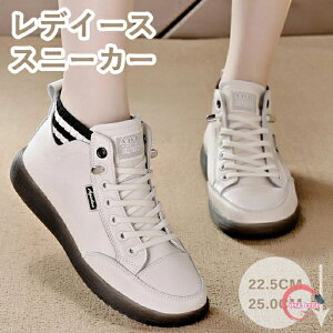 Xj[J[ fC[XXj[J[ nCJbgXj[J[ TChSA Xj[J[ CR C  EH[LOV[Y JWAV[Y [XAbv V[YVv ₷ 