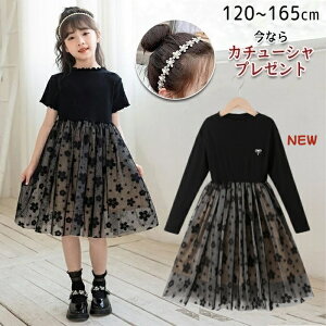 y^CvǉzLbY s[X `jbN q tH[} `[hX pb`[NXJ[g ԕ qǂs[X qhX LbYhX  ts[X p[e