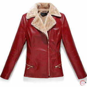 C_[XWPbg fB[X v ItBX 40 WPbg 50 vW uh 20 30   u] Vbg Ȃ TCY C_[X ~ XG[h R[g oCN l