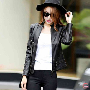 C_[XWPbg fB[X XG[h 50 WPbg oCN Ȃ H  U[ 40 ~ 20 ItBX AE^[ v Vbg U[WPbg C_[X u] u