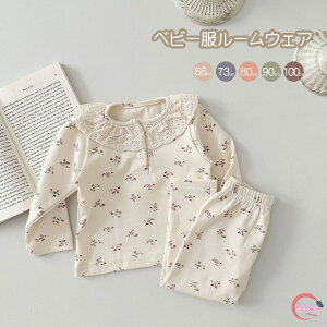 xr[ [EFA LbY pW}  q  pW}  Ci[ q ̎q ZbgAbv ㉺Zbg nCEGXg ǂ q ԕ  H ~ [X  w c