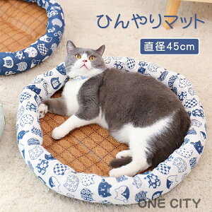 ėp Ђ}bg pxbh }bg ybgxbh Lpxbh _炩  đ΍ XNGAxbh NbV  ΍ MǑ΍ v u  薰  \tg N