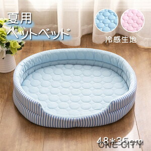 Ђ ybg xbh ėp  L ⊴ N[  STCY ڐG⊴ xbh ybgpi 􂦂  ΍ tp ėp   Ck  L lR ˂ XgCv {[_[ ^