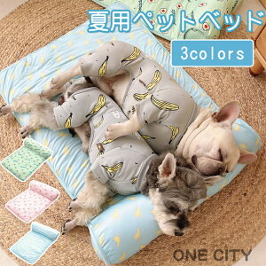 ybgxbh  Ђ 􂦂 ėp }bg N[ ybgp \t@xbh p^ ybgxbh   Ck  L lR ˂ ^ t  Ђ ₽ ߂ ڐG⊴ p