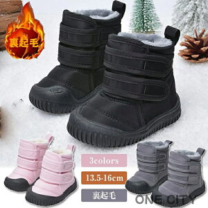 LbY qC Xm[u[c xr[ V[Y@j̎q ̎q N h H~ h [gu[c c g  xr[ C u[c V qǂ V[Y   g