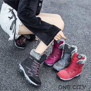 {Au[c Xm[u[c fB[X Ȃ u[c  {A EC^[u[c Xm[u[c h AEghA C 