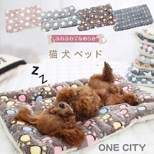 L  xbh ~ ybgxbh L  NbV xbh ӂӂ ~ }bg  􂦂 g  ӂӂ  P[W ybgxbh NbV    nEX y