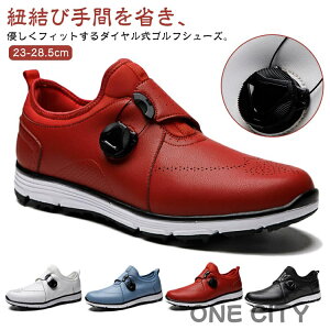 y500~OFFzfB[X StV[Y _CA StV[Y h Y XpCNX Xj[J[ h  St C KC y X|[cV[Y \tgȗSn _