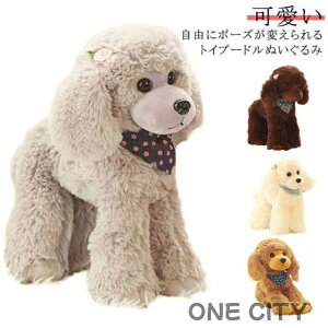 RɃ|[Y gCv[h   ybg ObY { A  v[g ybgX ʂ̂ʂ ̂ʂ ʂ ^  D   25c