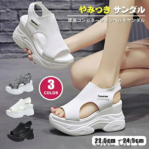 X|[cT_  fB[X T_ 22.5-24.5cm T_ y RtH[ r[`T_ I[vgD C C Xj[J[ X|[c ₷ AEghA `FbN ub