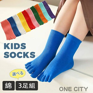 yIׂ3gzq C 5{w LbY V[g\bNX  u lIJ[  j̎q ̎q 5{w\bNX O\h H~ \bNX WjA ^ VY \  