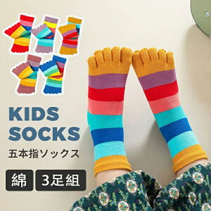 yIׂ3gzq C 5{w LbY V[g\bNX {[_[ C{[  j̎q ̎q 5{w\bNX X|[c \bNX WjA  O\h   C 