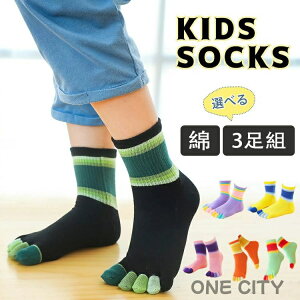 yIׂ3gzq C Zbg 5{w\bNX V[g\bNX ̎q Vv j̎q ǂ g 5{wC X|[c\bNX qp  5{w qǂp   ܖ{w\b