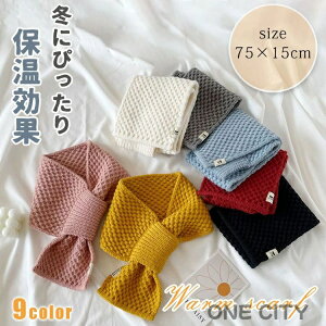 }t[ fB[X ~j}t[  킢 ݃}t[    nw  h  hObY _炩 h jbg}t[ h΍ XJ[t 