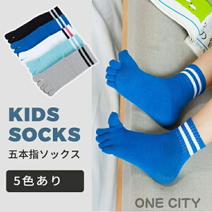 y3gzq C qpܖ{w\bNX LbY V[g\bNX  j̎q ̎q X|[c\bNX WjA 5{w {[_[  g    C ʉ w