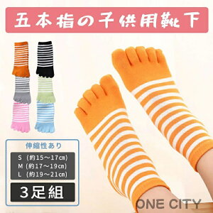 y3gzq C qpܖ{w\bNX LbY V[g\bNX  j̎q ̎q X|[c\bNX WjA 5{w {[_[  g    ӂӂ C 