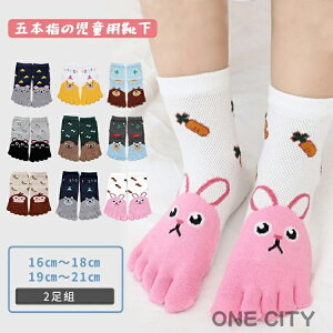 y2gzq C qpܖ{w\bNX LbY V[g\bNX  j̎q ̎q X|[c\bNX WjA 5{w   g   N}  ӂӂ C 