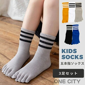 y3gzq C qpܖ{w\bNX LbY V[g\bNX  j̎q ̎q X|[c\bNX WjA 5{w {[_[  g    ӂӂ C 