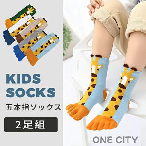 y2gzq C qpܖ{w\bNX LbY V[g\bNX  j̎q ̎q X|[c\bNX WjA 5{w L  g    ӂӂ C ʉ 