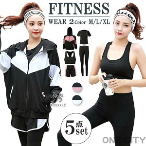 y500~OFFztBbglXEFA fB[X tBbglX 5_Zbg  ㉺Zbg ̌^Jo[ p KEFA X|[cEFA KEFA  bVK[h 傫TCY g