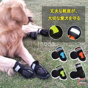  C EȂ 4Zbg C  u[c pC hbOV[Y hbOu[c  h h g Jpu[c JpC   S S ~ ^pC J̓ Uu[c C