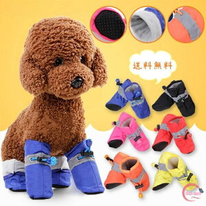  C EȂ 4Zbg hbOEFA pC hbOV[Y h u[c h Ȃ ybgp ̌C C ybg V[Y ~ h u[c U o  ی 