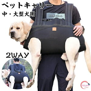 y500~OFFzybgobO obN R ybgL[ bN^ ybgp p   o ybgL[obO ybgbN 2WAY XO ԕR ^^