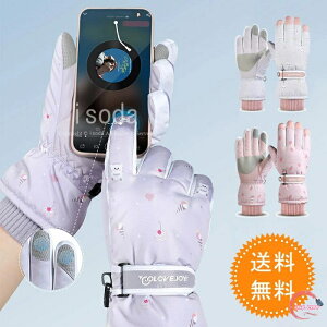 手袋 レディース かわいい 手袋 裏起毛 バイク 防寒 防水 手袋 レディース メンズ スマホ 手袋 スマホ対応 手袋 レディース 暖かい 自転車 手袋 防寒 防水 グローブ レディース 両手 バイクグ