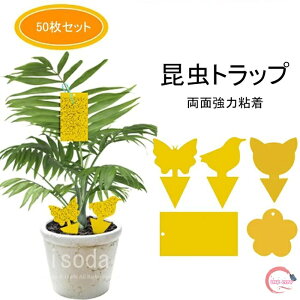 I gbv Sgbv gbv ߂SV[g Q΍ QS^ubg ʔS h S ȒPt K[f 50  L Q쏜 S ȒPt nG