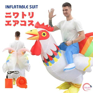 y500~OFFzjg GARX { RX`[ `L  nEB WO[ WVbN [h lp CŖc GA[RXv Ct[^uRX`[ e