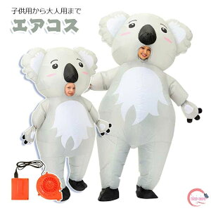 RA GARX tNO} RX`[  nEB RXv WVbN [h qp lp CŖc GA[RXv Ct[^uRX`[ eBmT