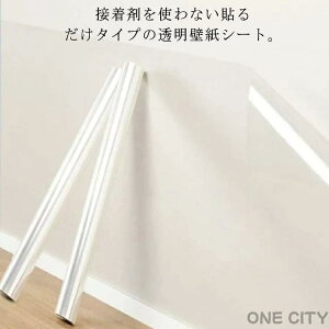 h h~ ܂Ƃh~ h~ lR ǎV[  q LbY EH[XebJ[ h h ΍ L ǕیV[g 