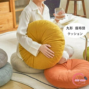 �������� �t���A�N�b�V���� ���a38cm ���a43cm ���a48cm ���z�c ������� �N�b�V���� ���E���h�N�b�V���� �ی^ �傫�� �C���e���A �~�`�N�b�V���� �ی^�N�b�V���� ���z�c�k�� �i�`������ �� �k