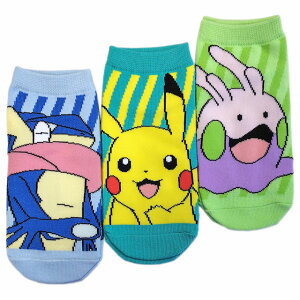 |P qp C \bNX 3Zbg |PbgX^[ oCIbg XJ[bg {[CY WjA K[Y y[֔iz pz-sm44cp ySSz