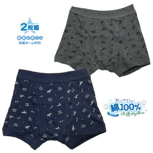 q {NT[u[t 2g  O[  ȑf j̎q jq LbY pc  y[֔iz pz-soky048ySSz