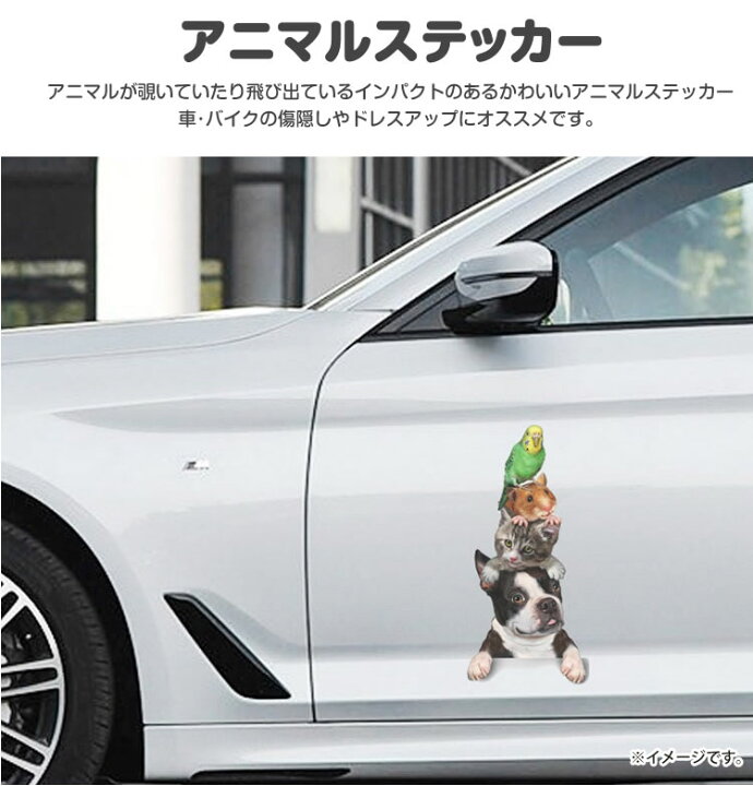 楽天市場 カーステッカー 犬 猫 ハムスター シール かわいい 動物 アニマル ドレスアップ 車 バイク カー用品 ステッカー カーステッカー 傷隠し Pr Groupst One Daze