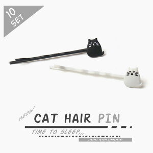 wAs 10Zbg lR Vv 킢 L L wAANZT[ y PR-PIN01CAT