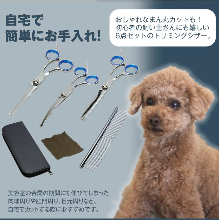 楽天市場 トリミング シザー 6点セット トリマー ハサミ カット ペット すきバサミ 収納ケース付 コーム シザー 犬 猫 ペット用品 はさみ Pr Trimmingset One Daze