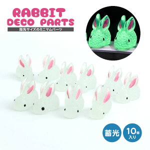 10 ~  3D fRp[c  Aj}  fR[Vp[c ʃe[v \t  f nhCh Ntg ڈ PR-PARTS12