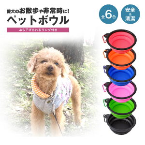 ybg{E ܂肽 Ot VR   U t[h{E  o {E  VR{E gC  Jrit e S  lR 펞 ybg h