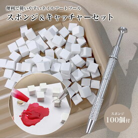 ネイルアート グラデーション スポンジセット ステンレス製 ツイーザー キャッチャー マニキュア ペディキュア ネイル PR-NAIL24TSSET