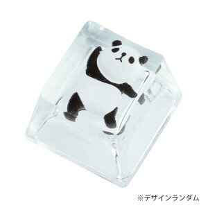 p_ L[Lbv L[{[hp 킢 JjJ Q[~O L[  JX^}CY  p_ PR-PANDACAP-1ST