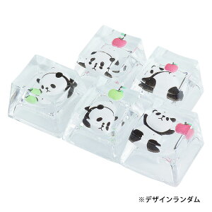 p_ L[Lbv 5Zbg L[{[hp L[gbv 킢 JjJ Q[~O L[  JjJL[XCb`p  JX^}CY  p_ PR-PANDACAP-5ST