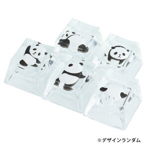 p_ L[Lbv 5Zbg L[{[hp L[gbv 킢 JjJ Q[~O L[  JjJL[XCb`p  JX^}CY  p_ PR-PANDACAP-5ST