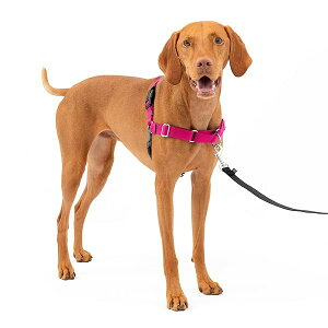 PetSafe�i�y�b�g�Z�[�t�j �C�[�W�[�E�H�[�N�n�[�l�X ���p ��������h�~ �U�� �g���[�j���O�p
